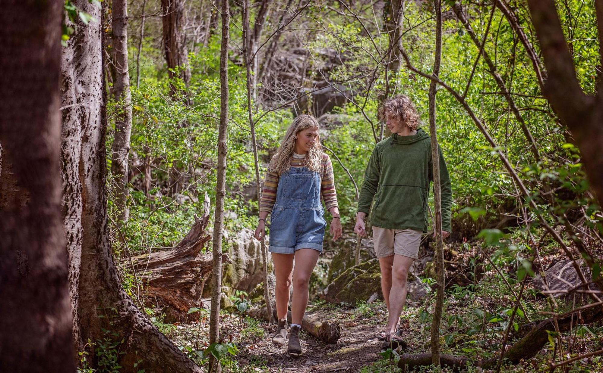 Meg Cabin Tiny Rustic Comfort On Lookout Mtn تشاتانوغا المظهر الخارجي الصورة